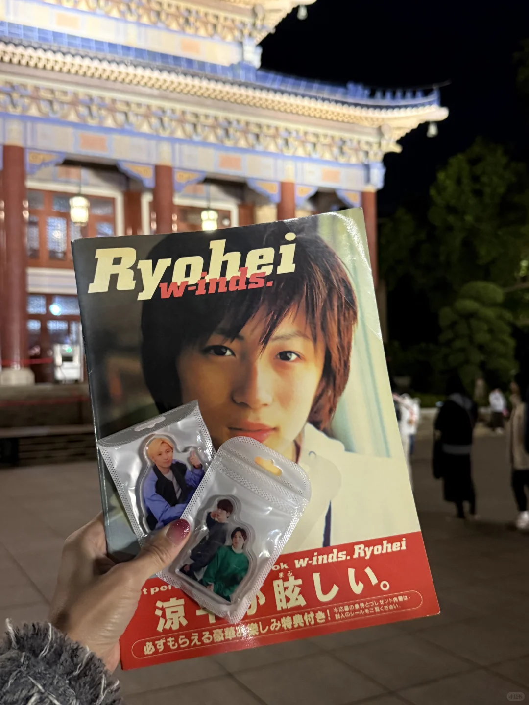 中年少妇的快乐｜W-inds广州演唱会