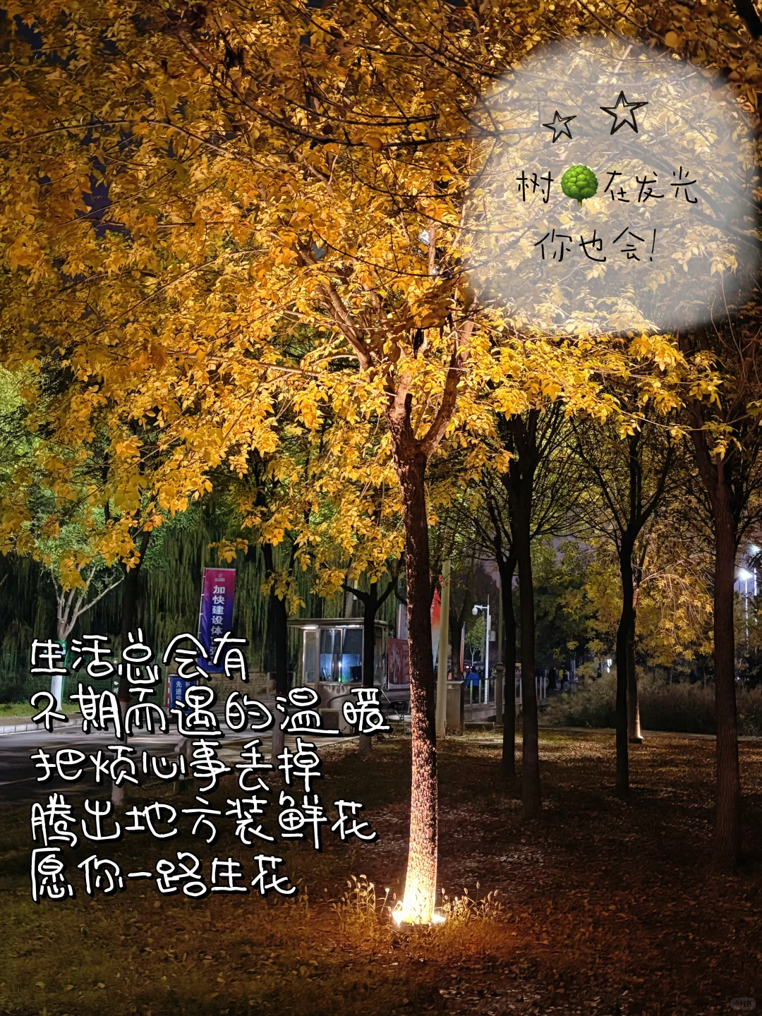 plog｜女大学生减肥 运动 学习 好好生活！