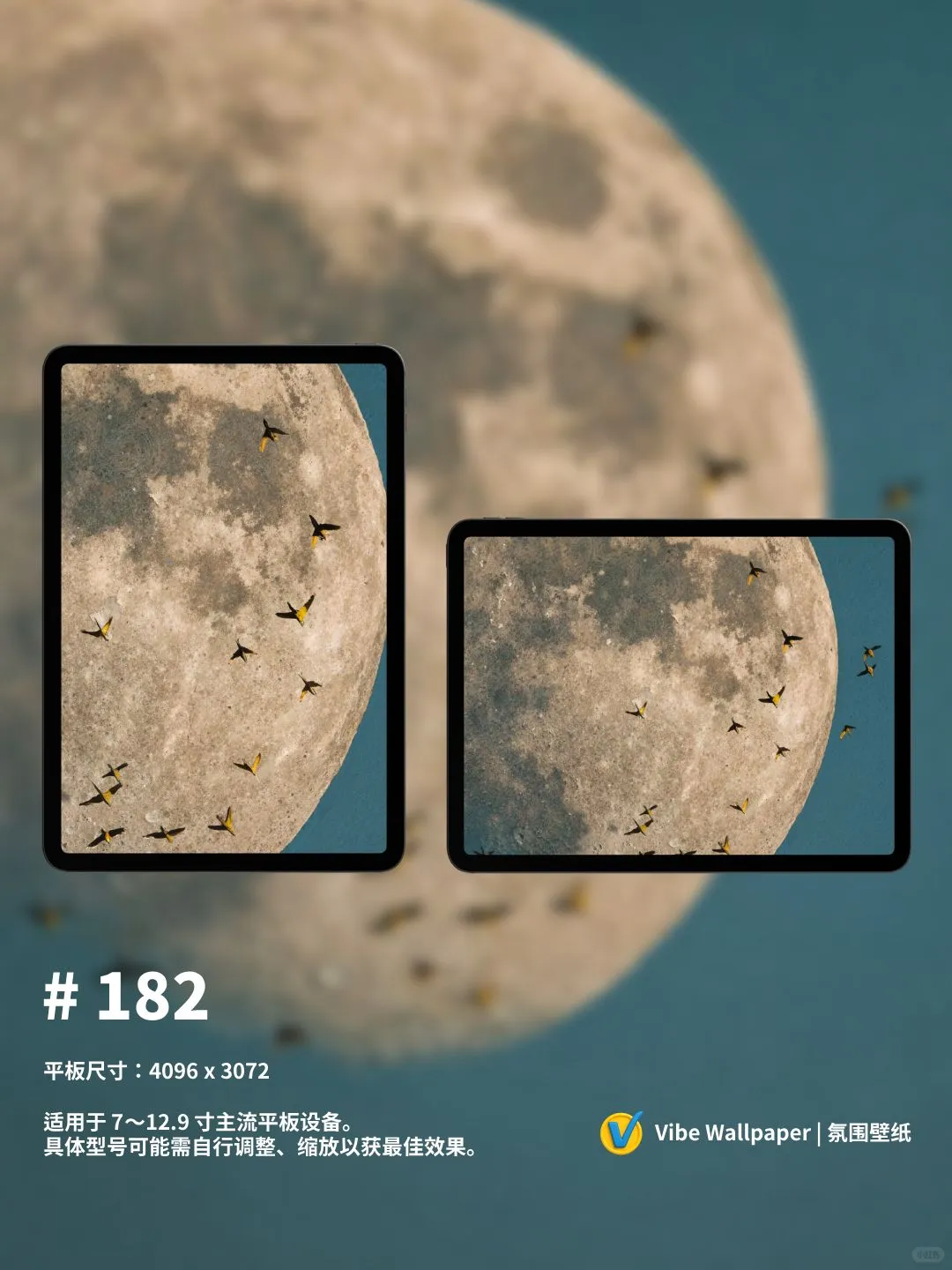 氛围感 月亮与飞鸟 油画 干净 壁纸｜182