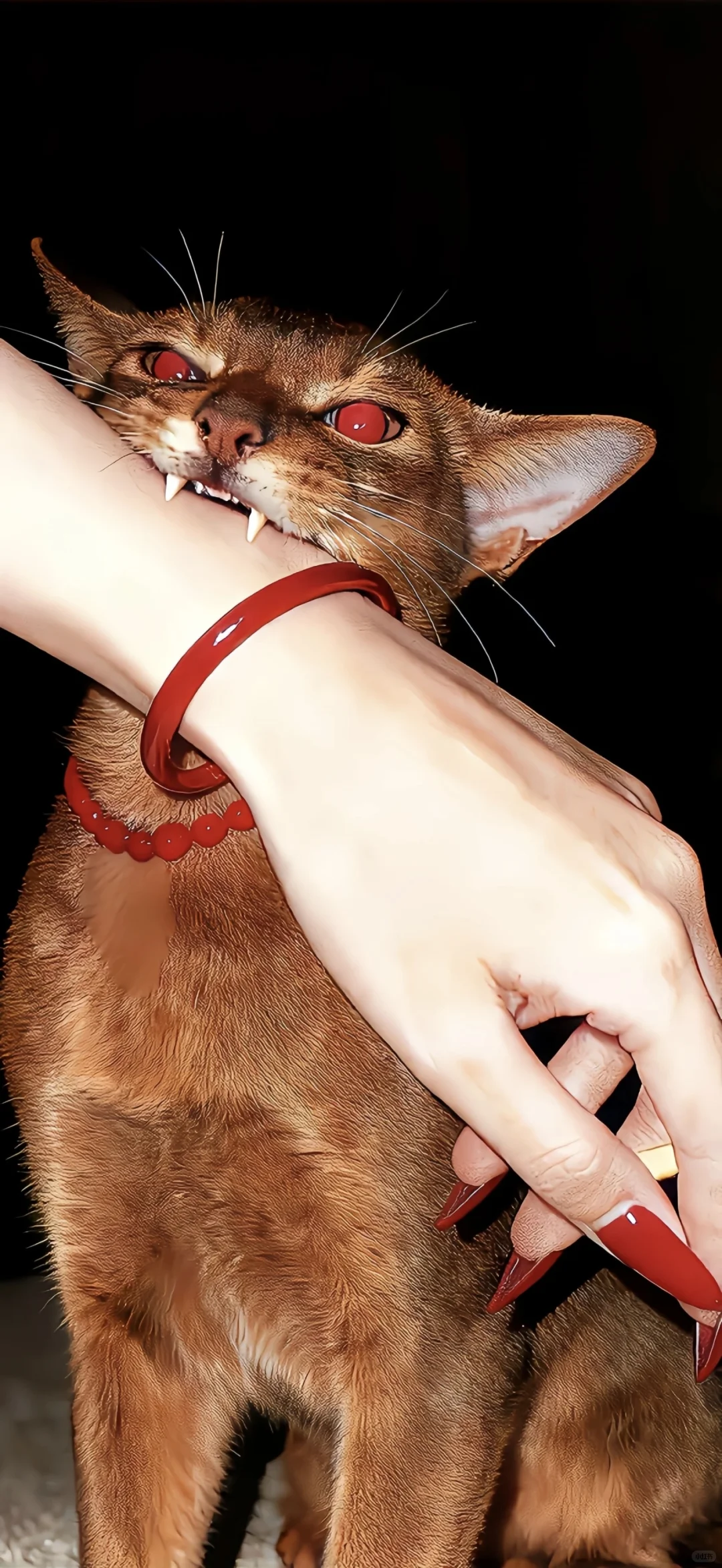 ins风小众氛围感壁纸分享:'