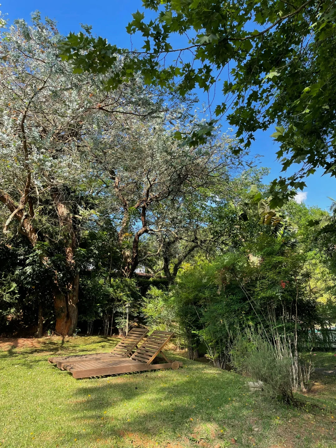 你有一种救赎感