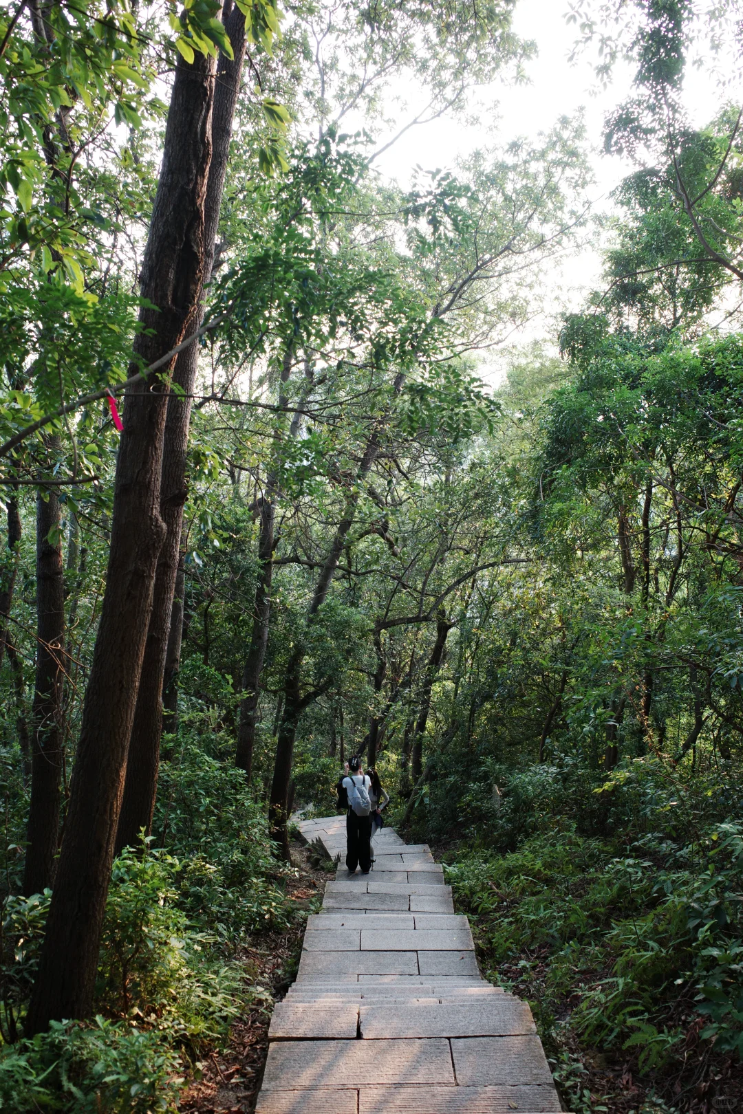 不建议一个人去爬山⛰️