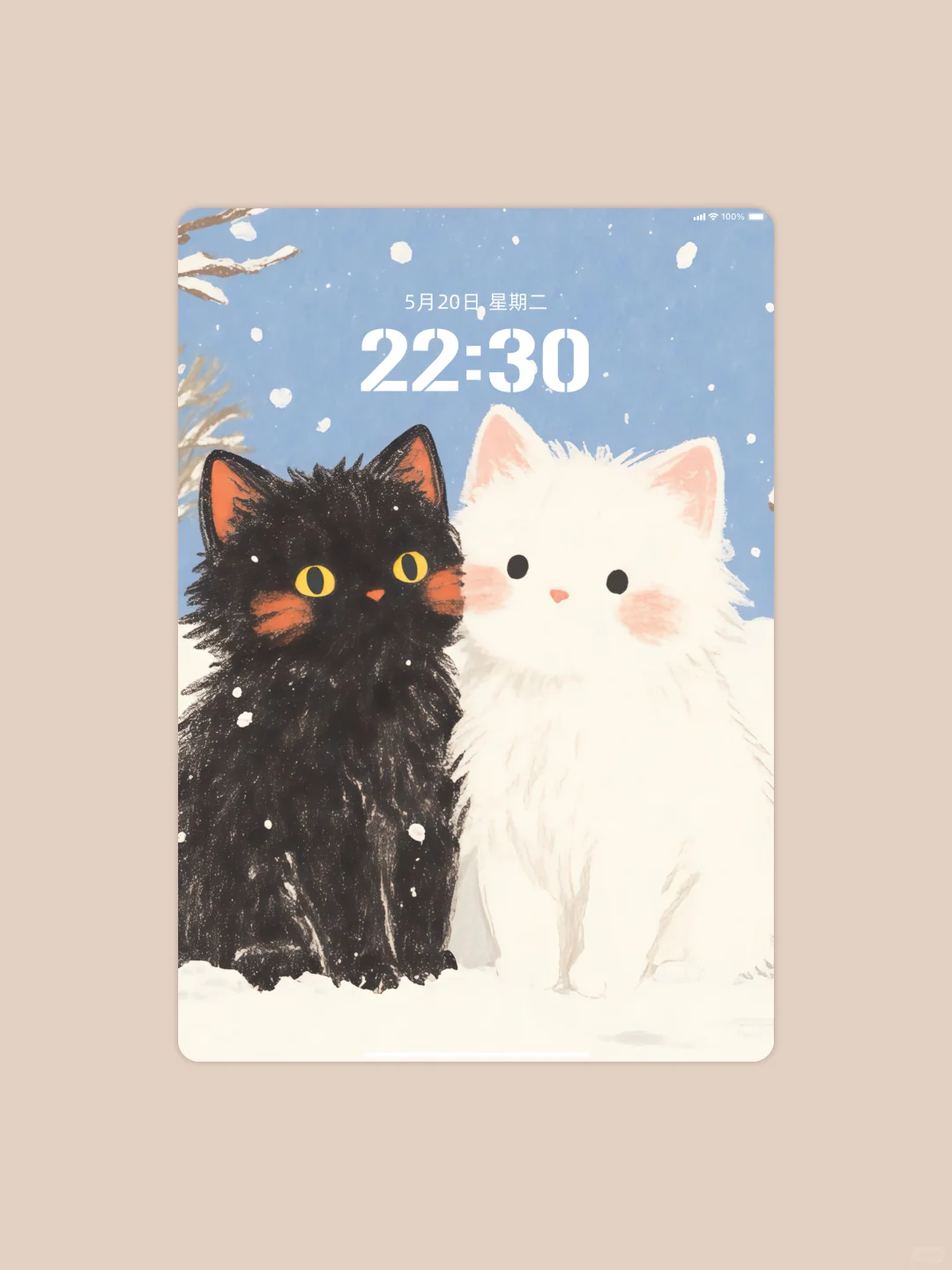 iPad平板壁纸•横竖通用 | 可爱猫咪•滑雪❄️