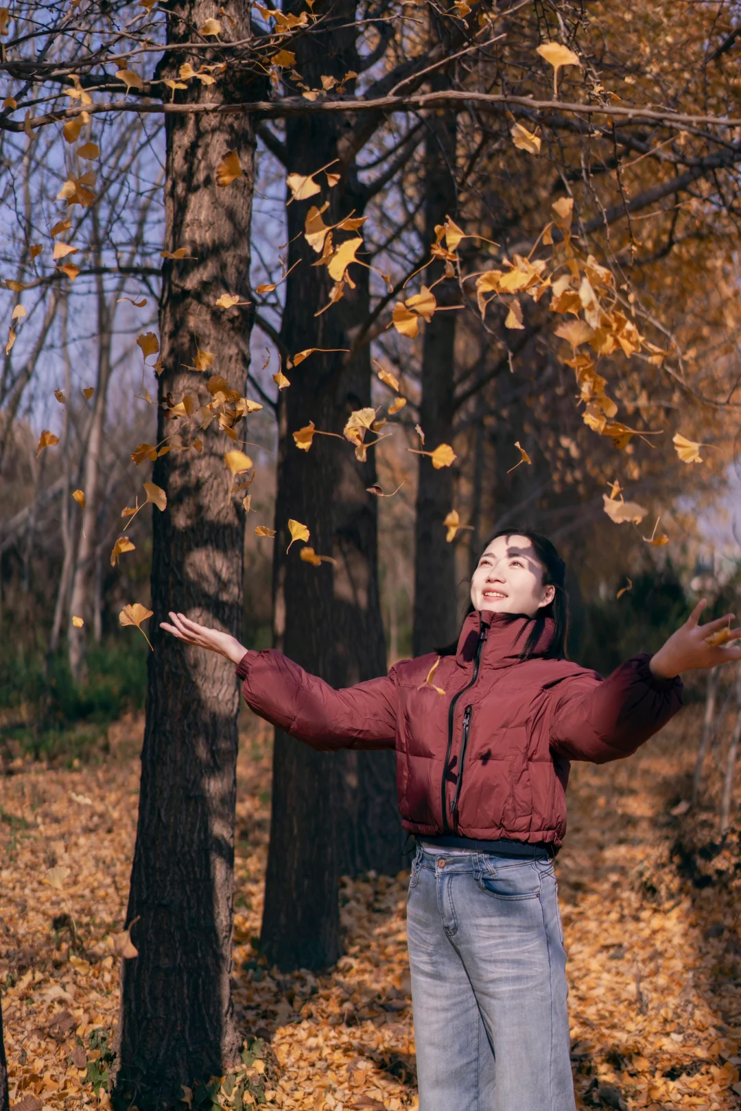 初冬的银杏格外迷人，你拍了吗？