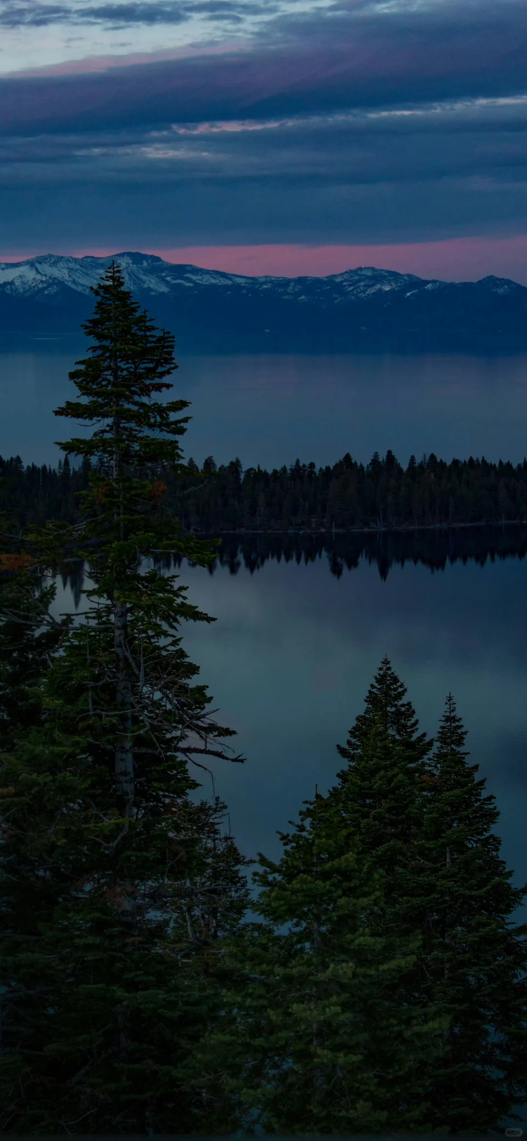 一组及其小众的壁纸