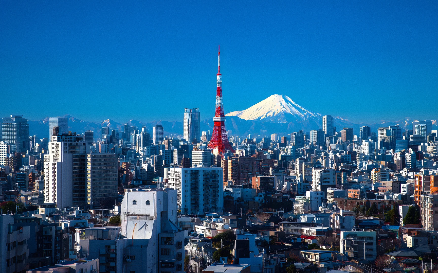 ᴍᴄᴅᴏɴᴀʟᴅꜱ 🍔清冷感 笔记本壁纸