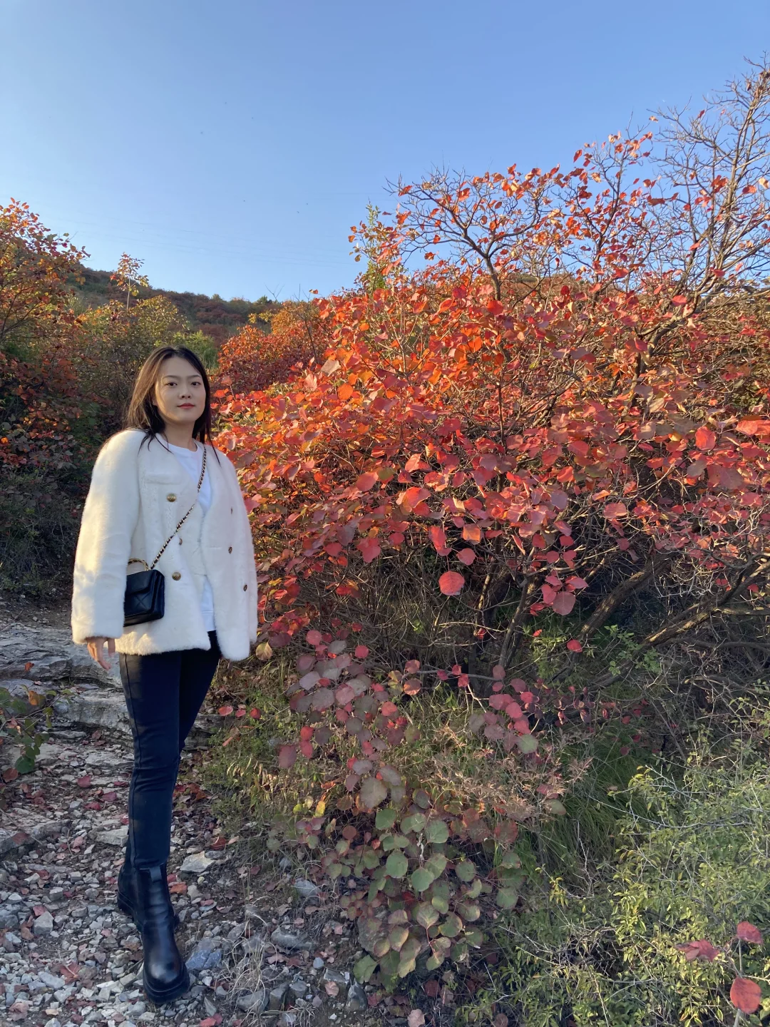 重生之我在小红书爆改女明星，听劝求改造