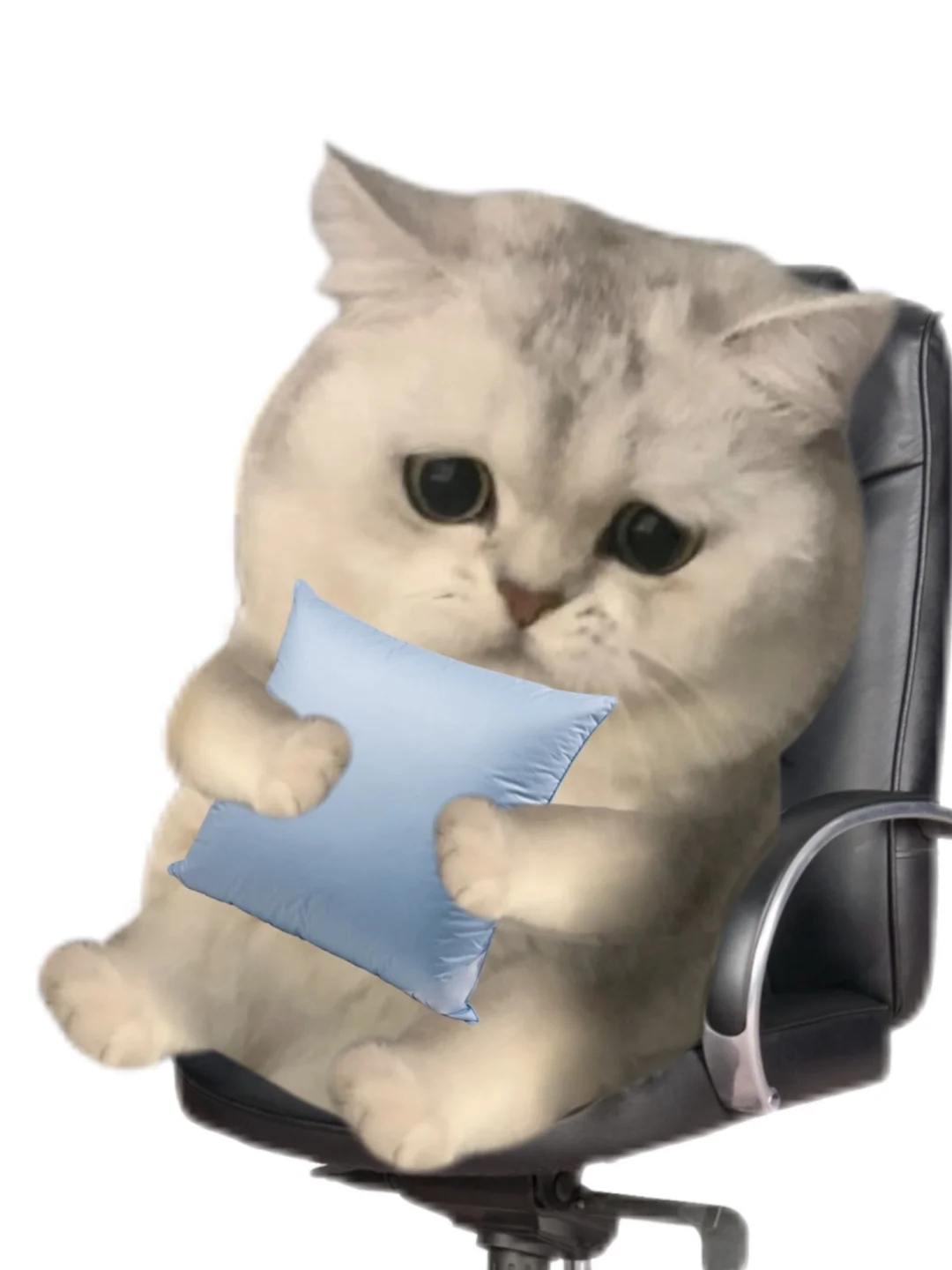 这些表情包用起来命好苦的样子