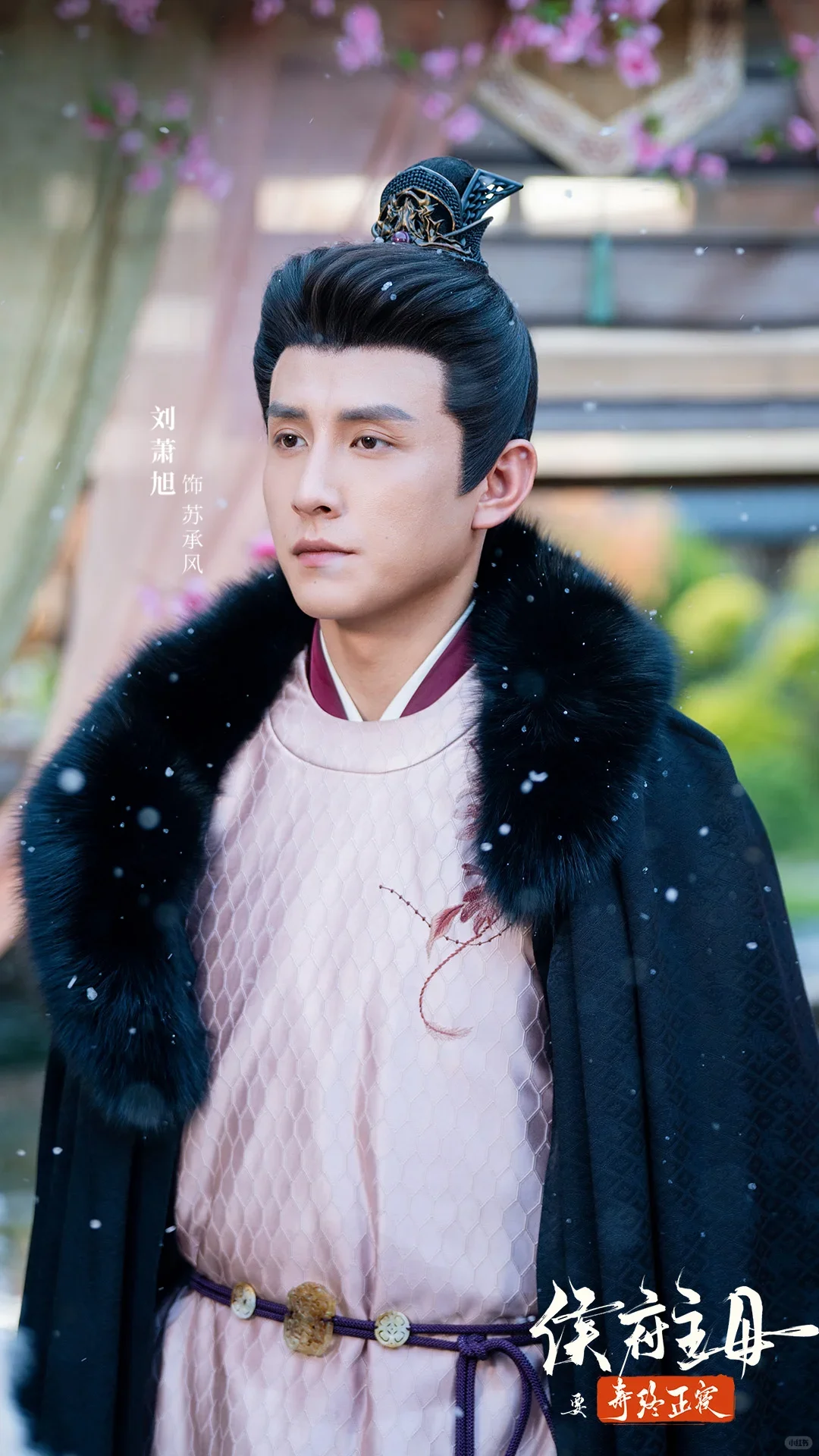 侯府主母要寿终正寝，不雌竞的宅斗剧，强推