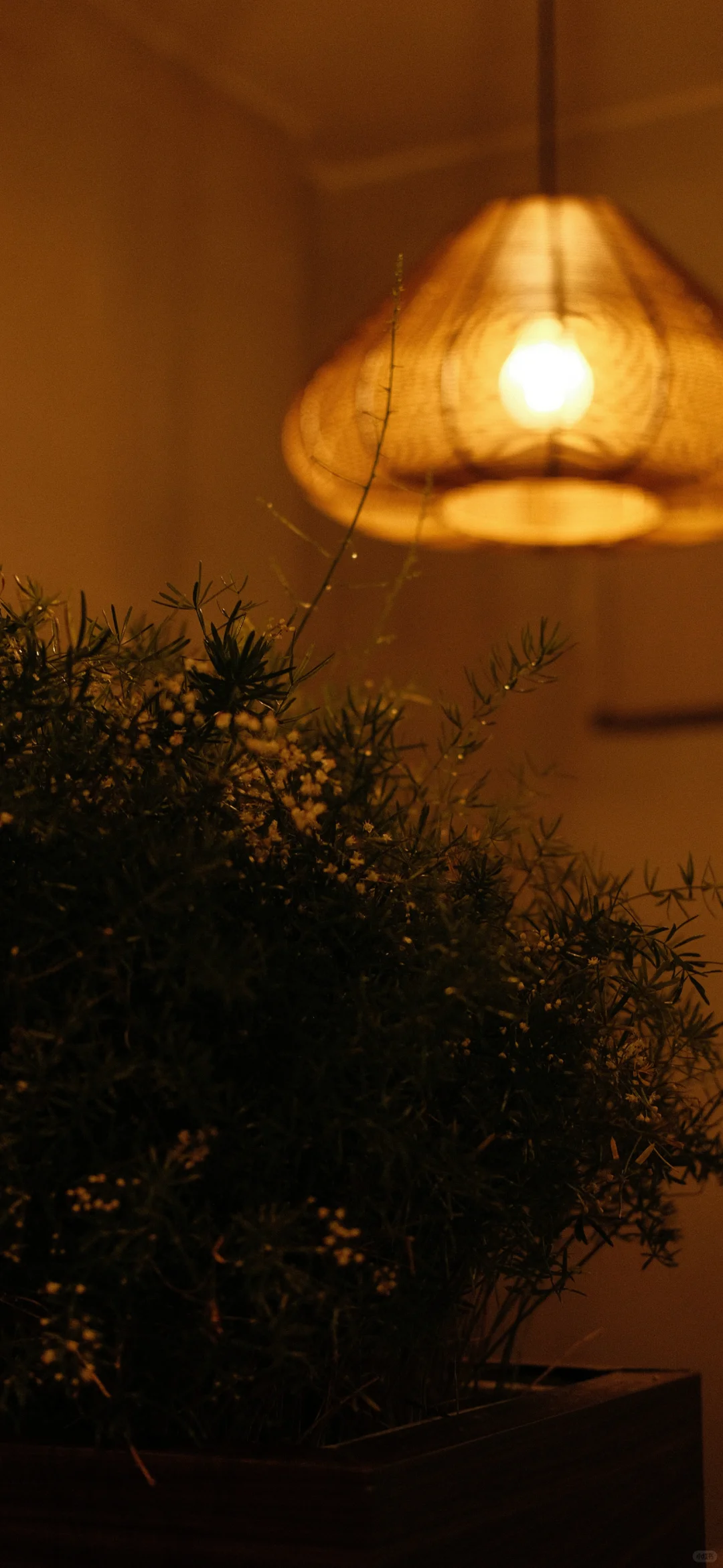 12张高清小众全屏壁纸