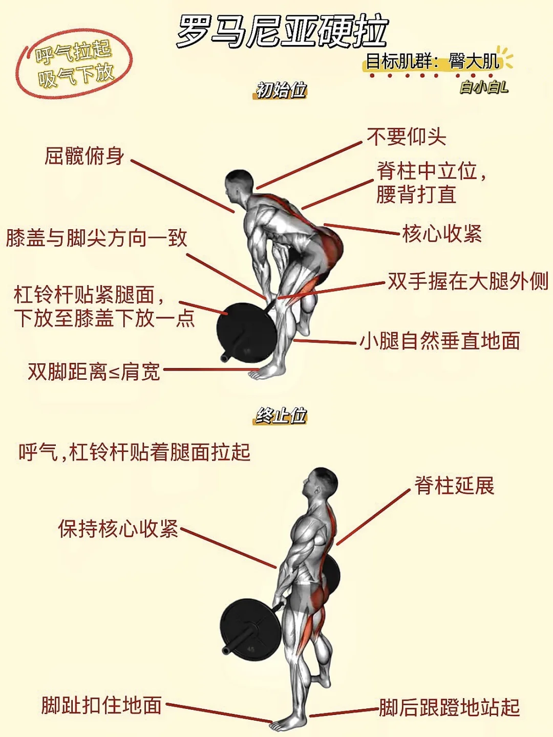 所以 健身练成这样算夸张吗?