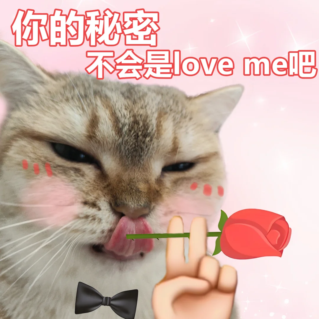 没有丫头能拒绝这样的表白。