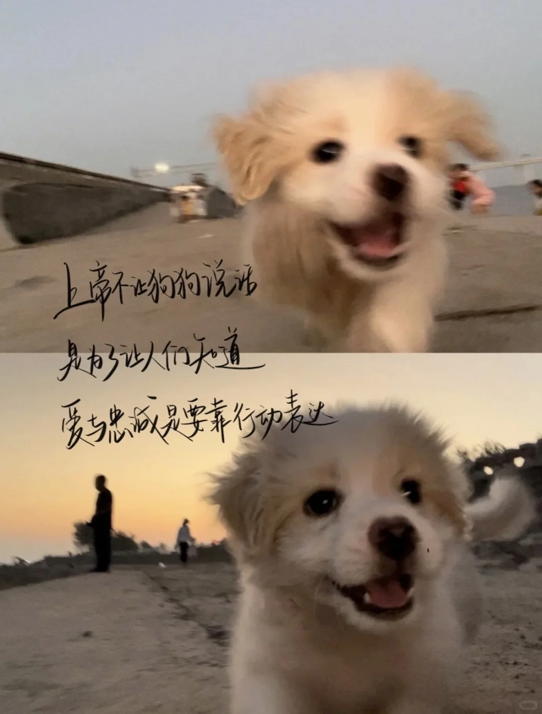 壁纸｜10万人想要蜡笔小新的壁纸