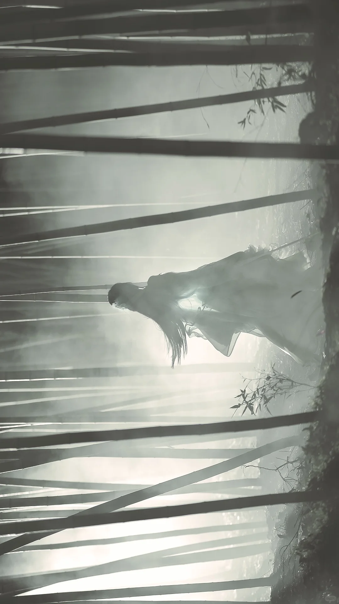 一袭青衣，竹林剑仙