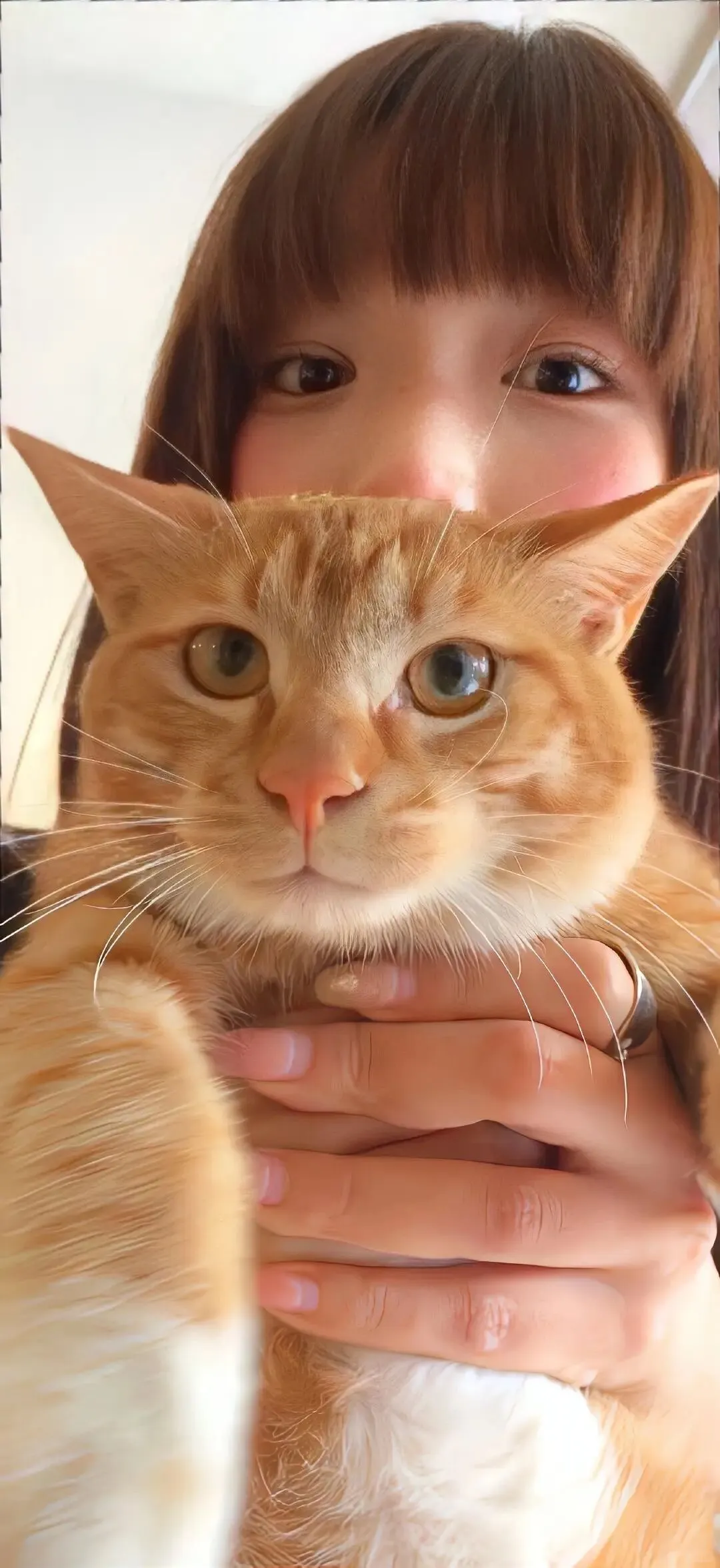 ins风壁纸来袭！！！