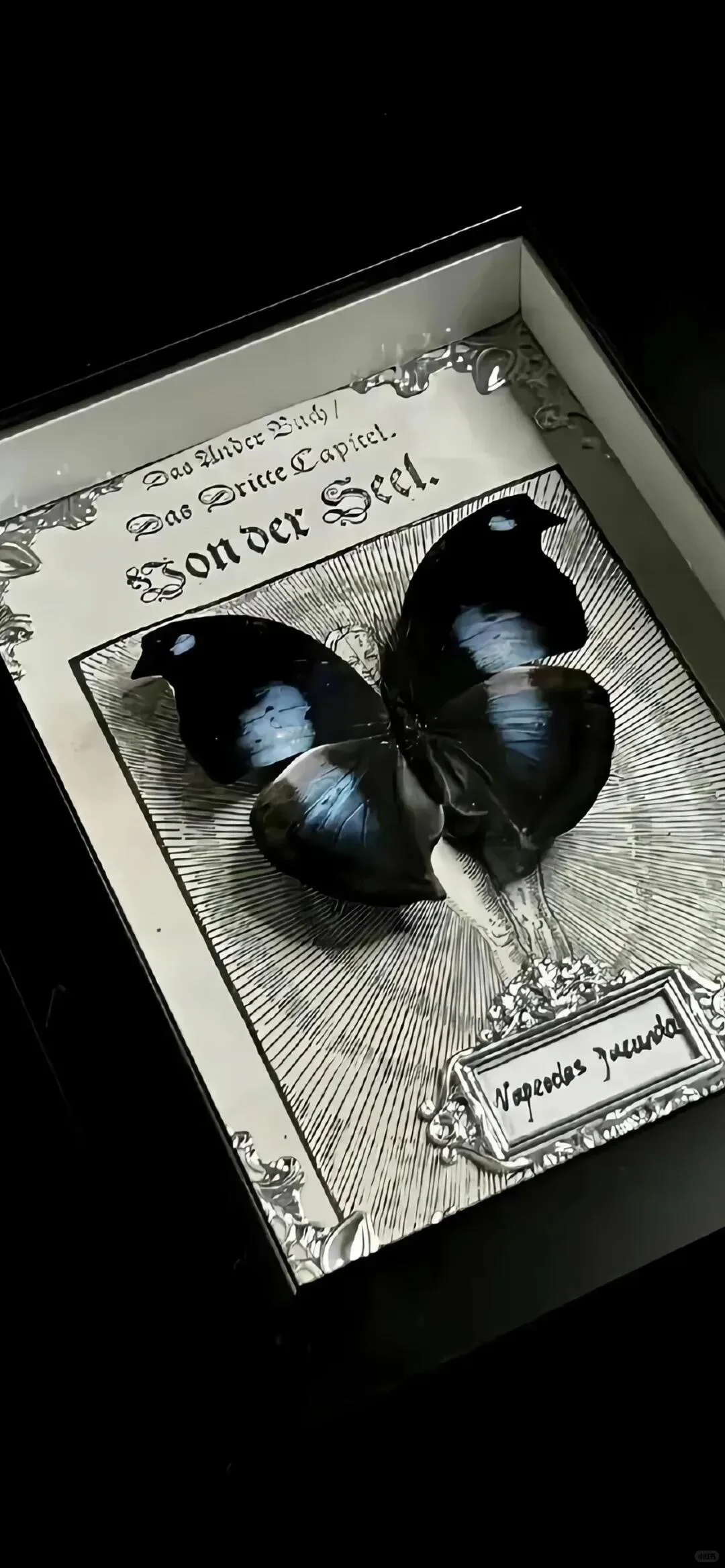 𝙒𝙚𝘾𝙝𝙖𝙩｜ins小众高级感手机壁纸📱