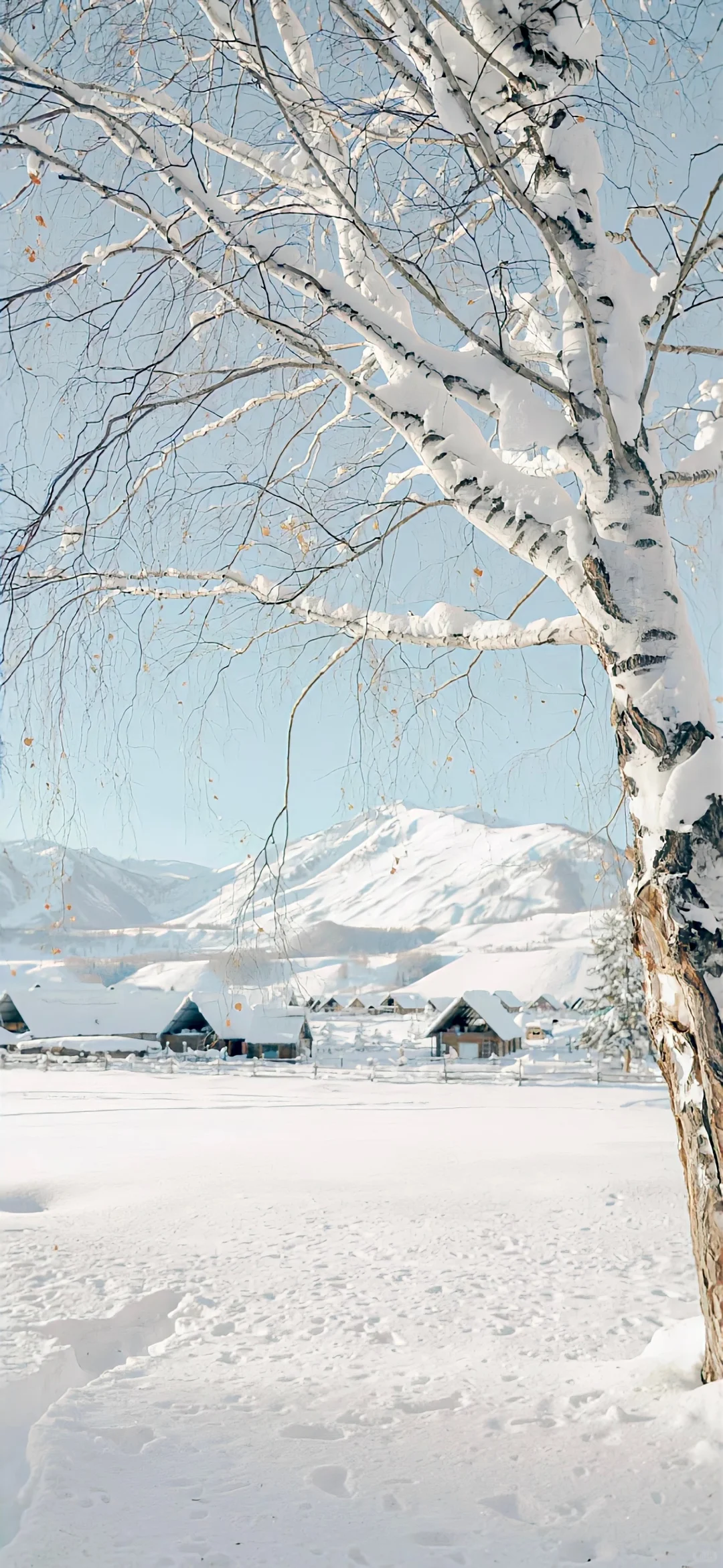 𝐒𝐡𝐚𝐫𝐞丨ins小众壁纸❄️