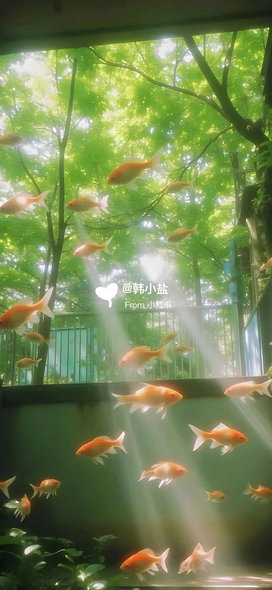 📆日历壁纸𝐒𝐡𝐚𝐫𝐞 ◡̈°｜一起走过的日子