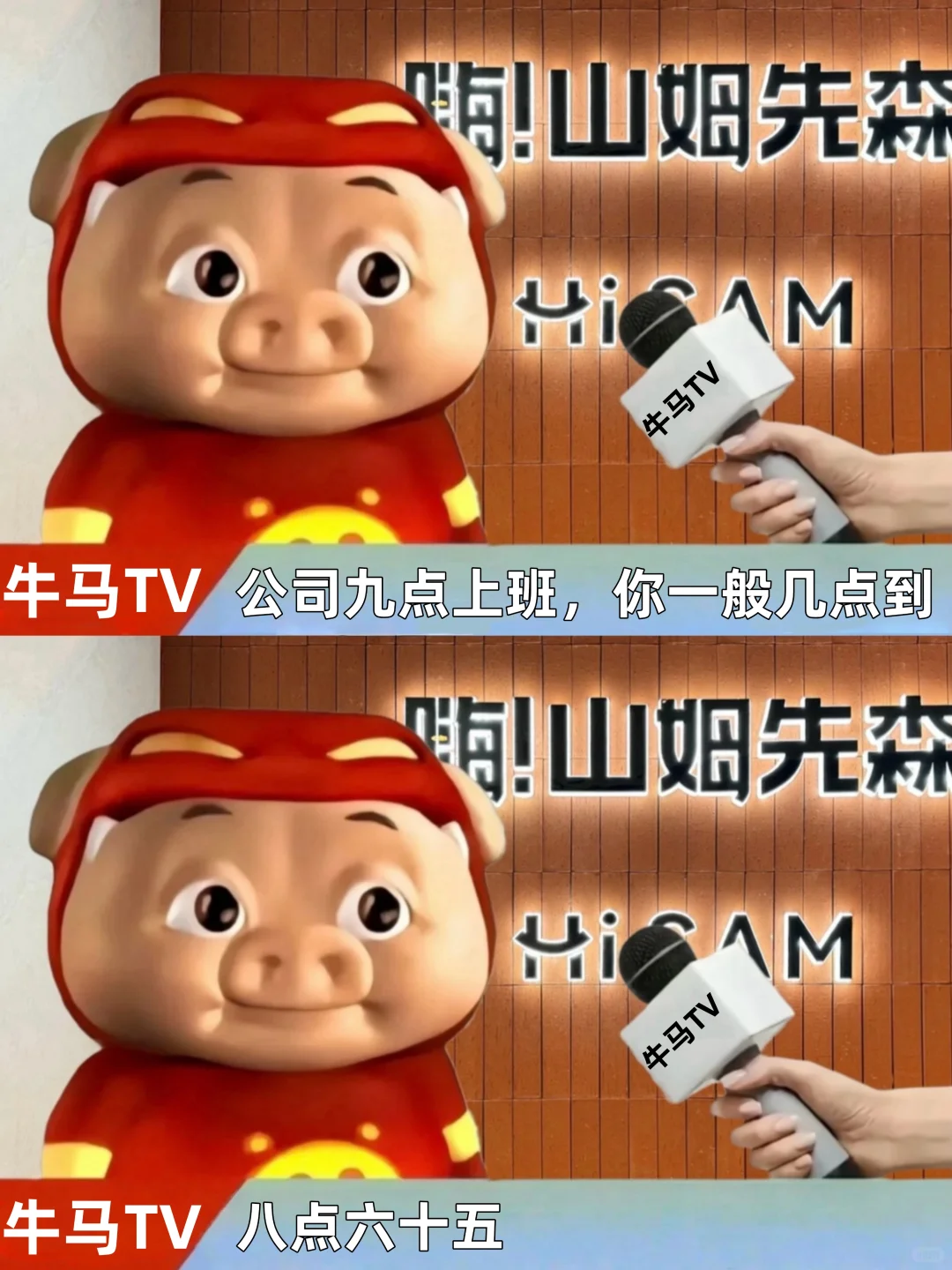 男神猪猪侠的清醒发言🧱