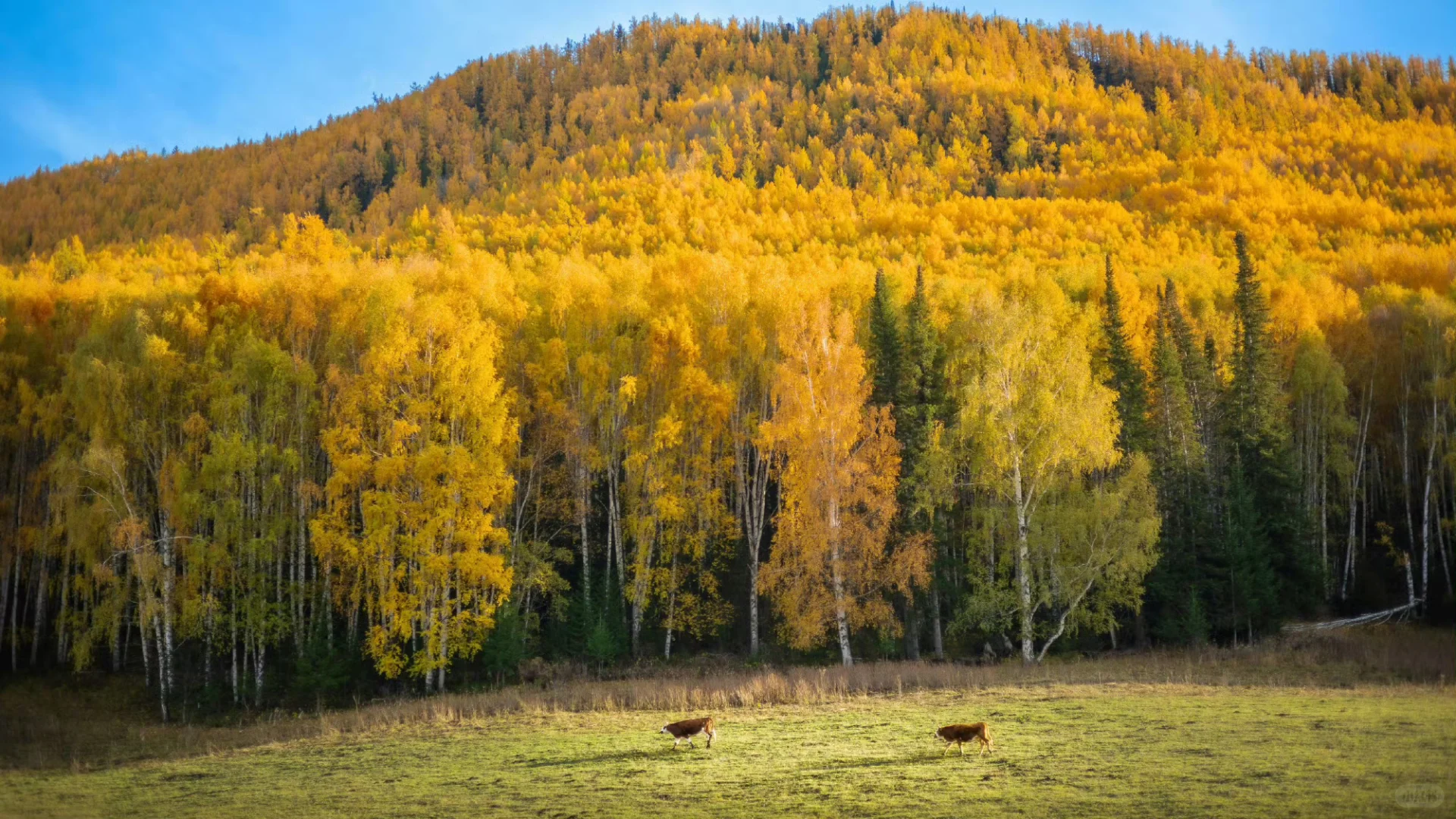 电脑屏幕壁纸（10张☀️）