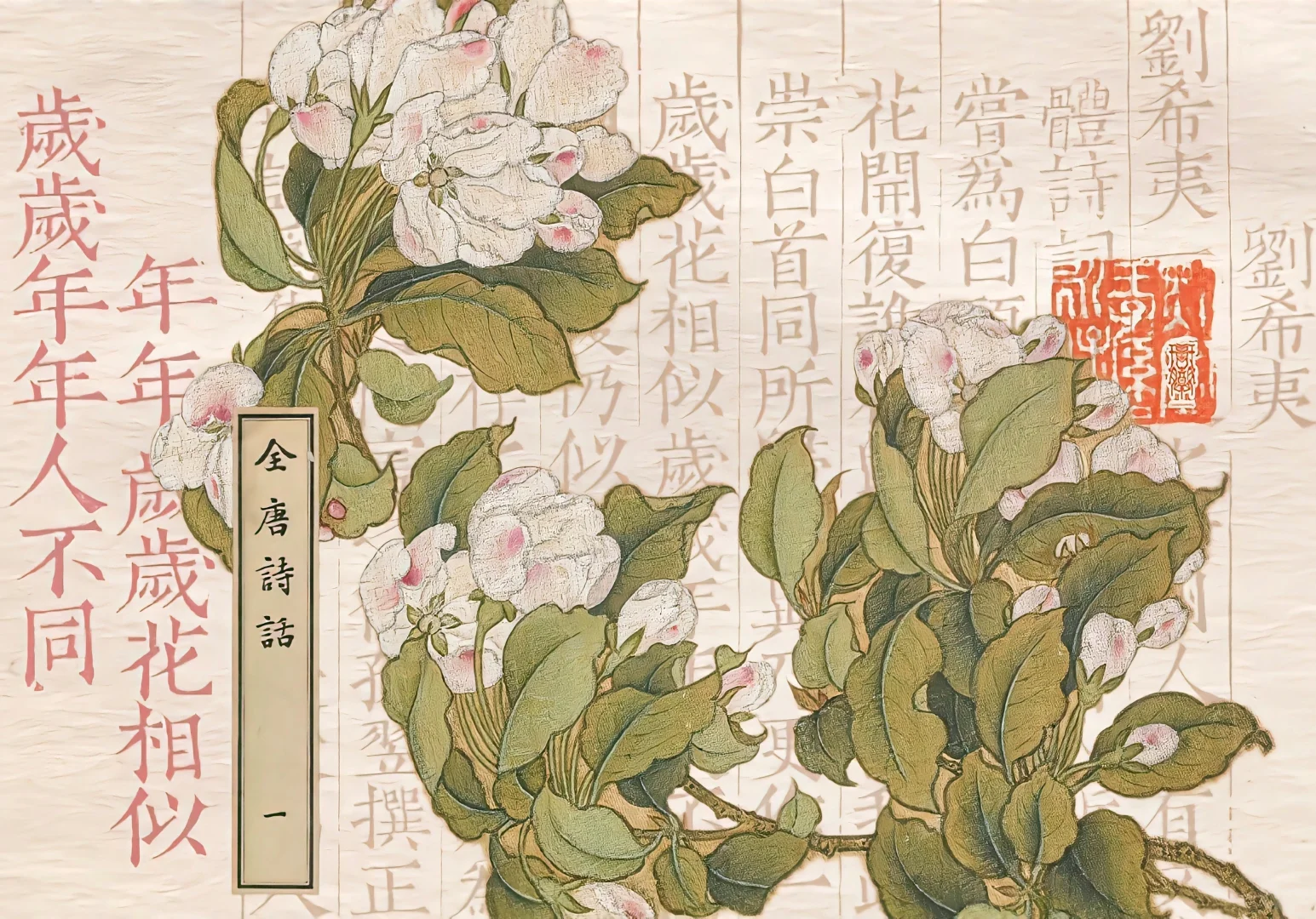 电脑ipad壁纸丨且将新火试新茶