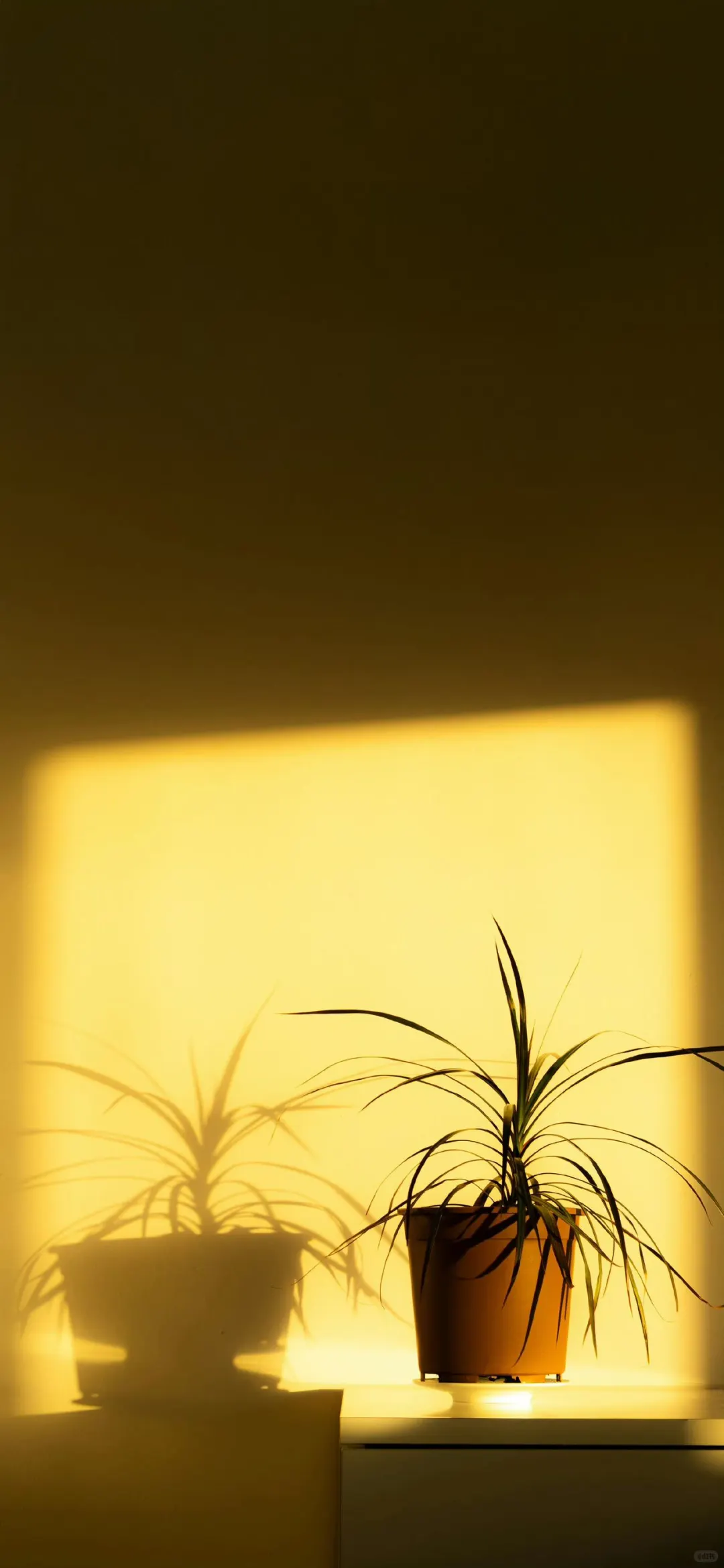 一组高清壁纸图