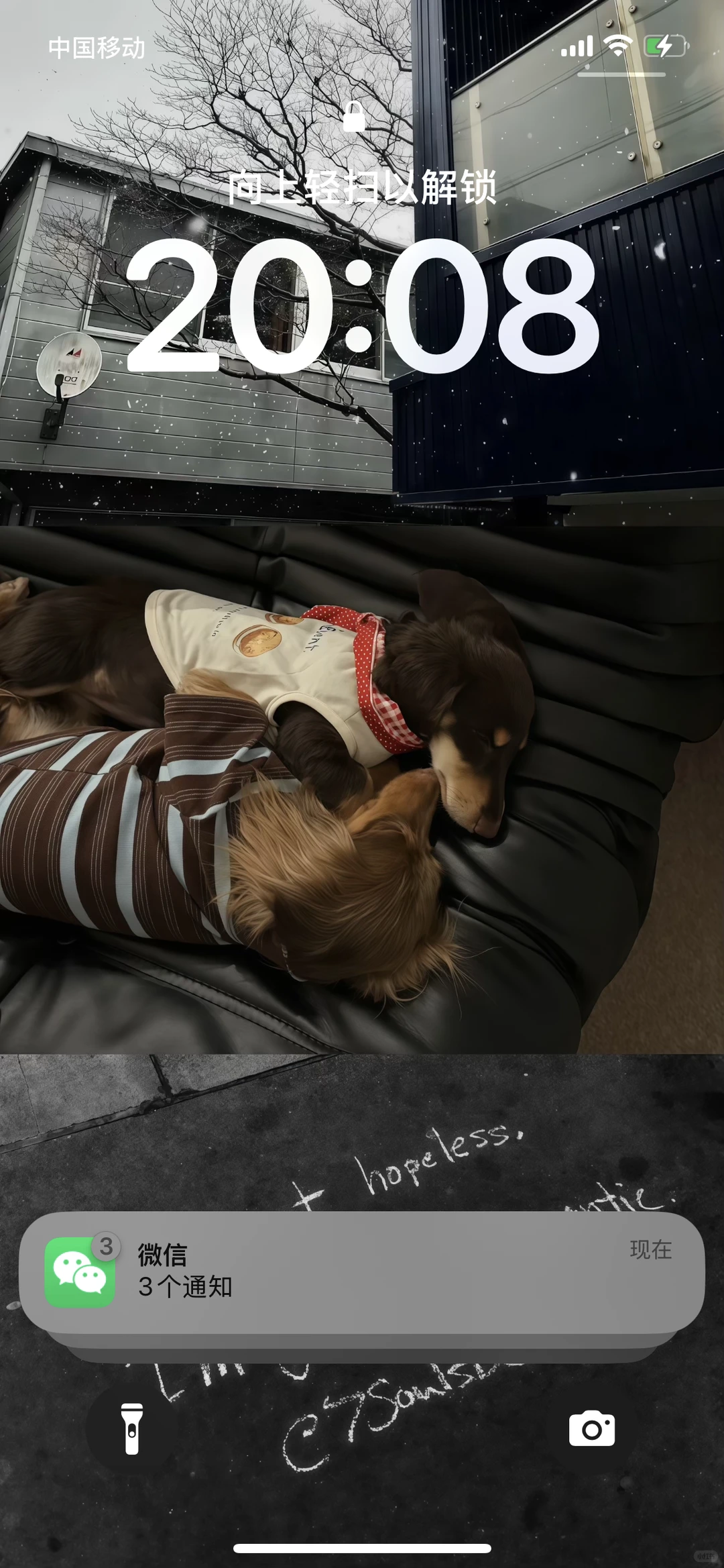 Share｜秋冬氛围感壁纸⊹🐾₊⁺