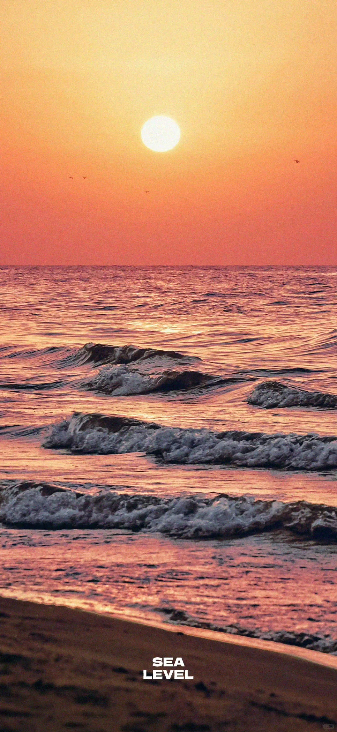 取|“喜【水】的好运”壁纸