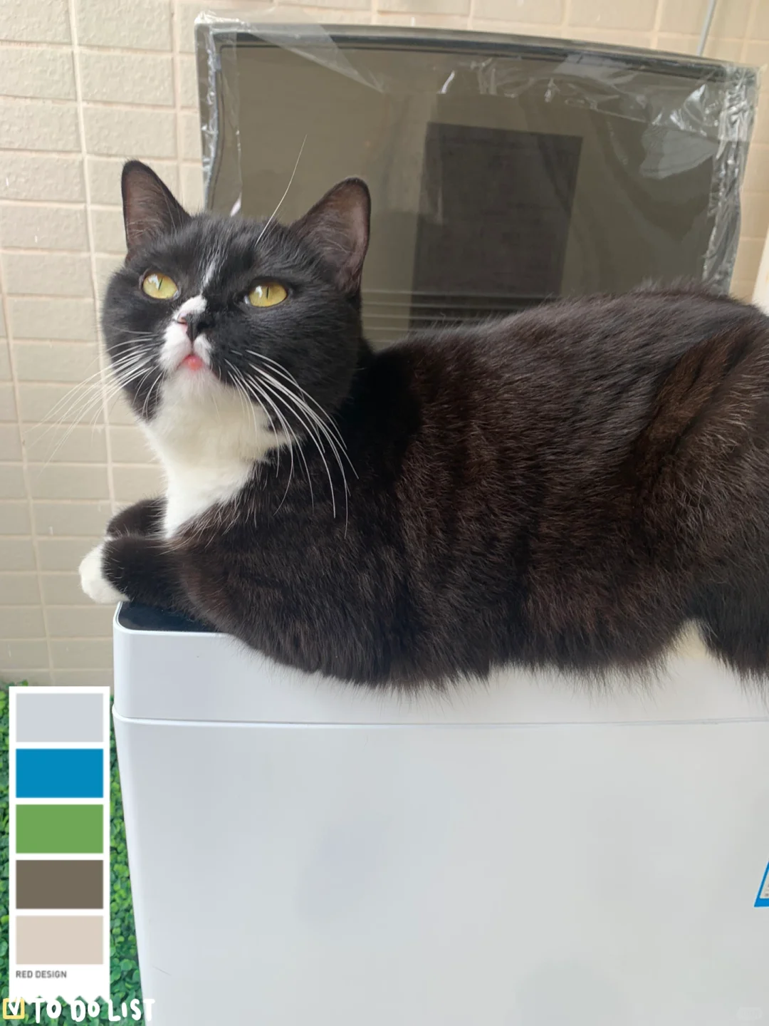 我的宝，你怎么突然变得如此娇媚🥹🥹