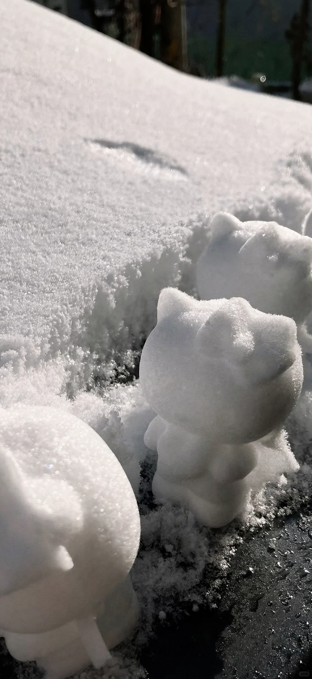 冬日序曲·氛围感壁纸