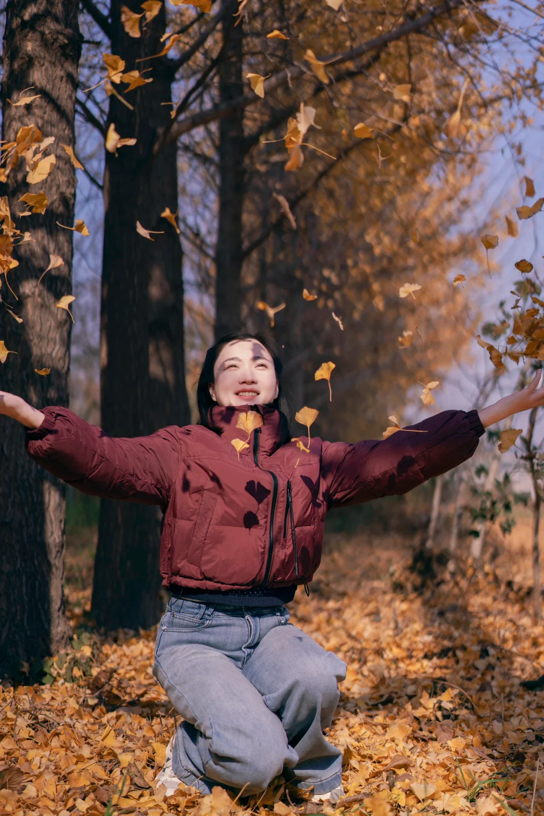 初冬的银杏格外迷人，你拍了吗？