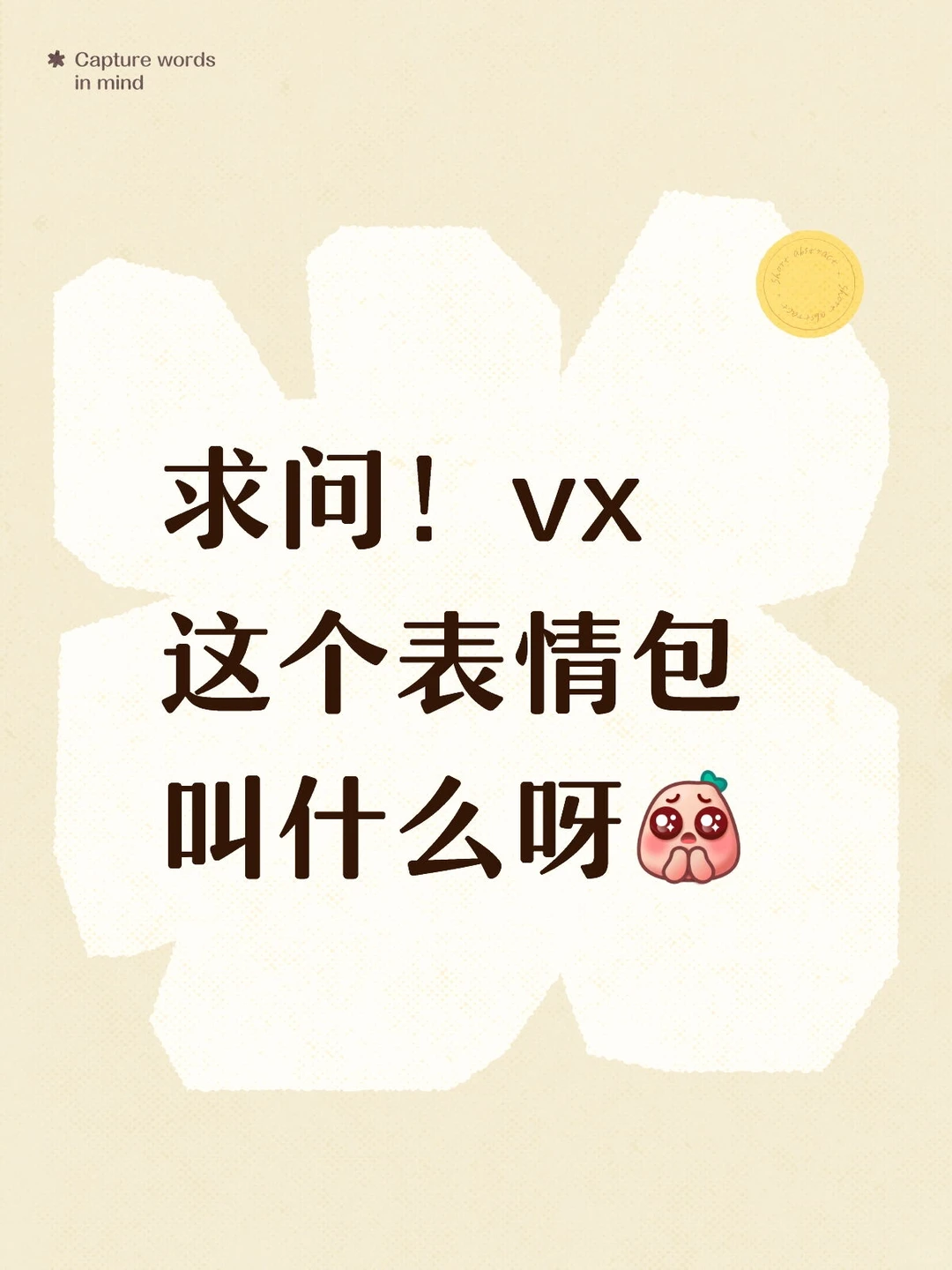 求问！vx这个表情包叫什么呀