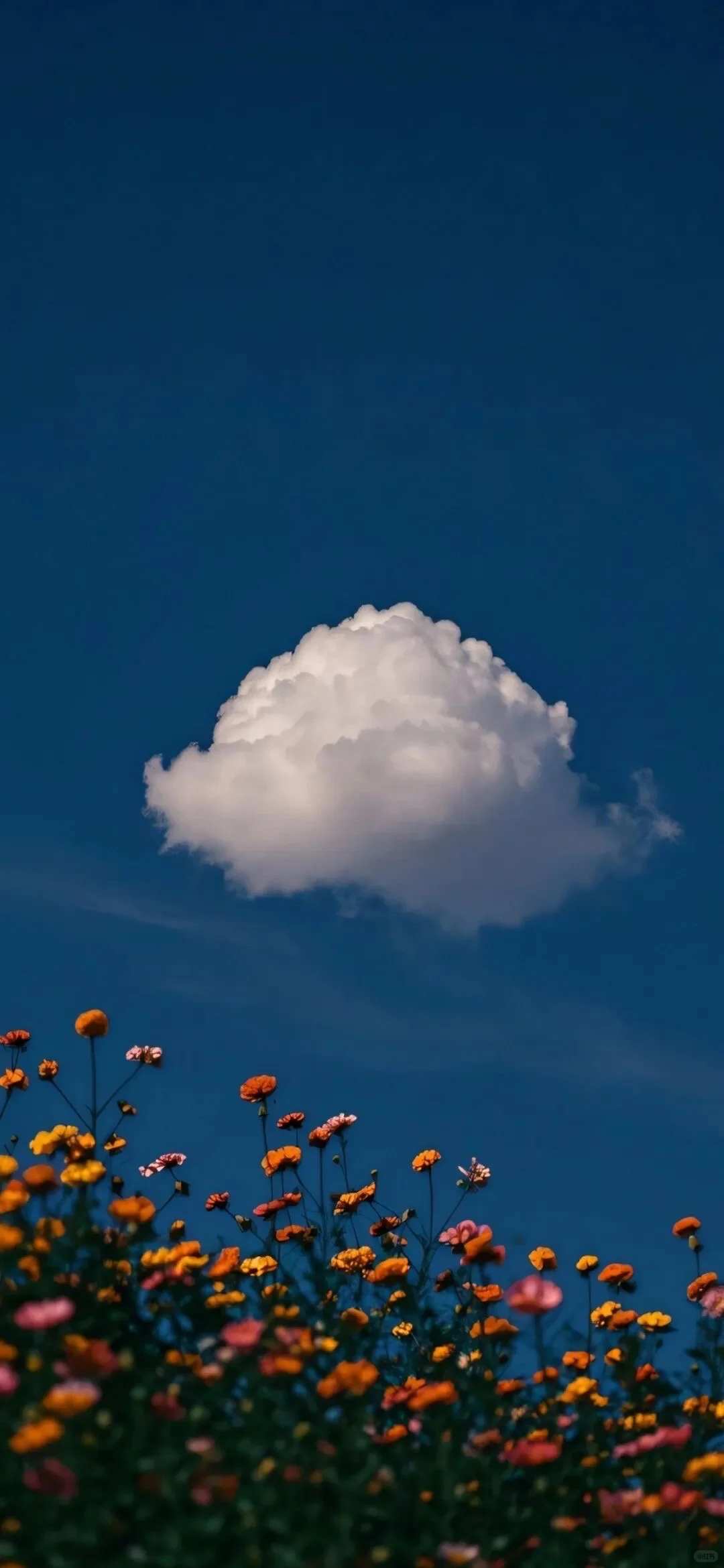 ✨云朵☁️✨壁纸