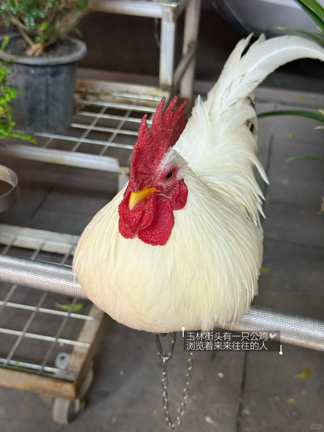 🀄️｜独立和不怕失去，才是女孩子最好的底牌