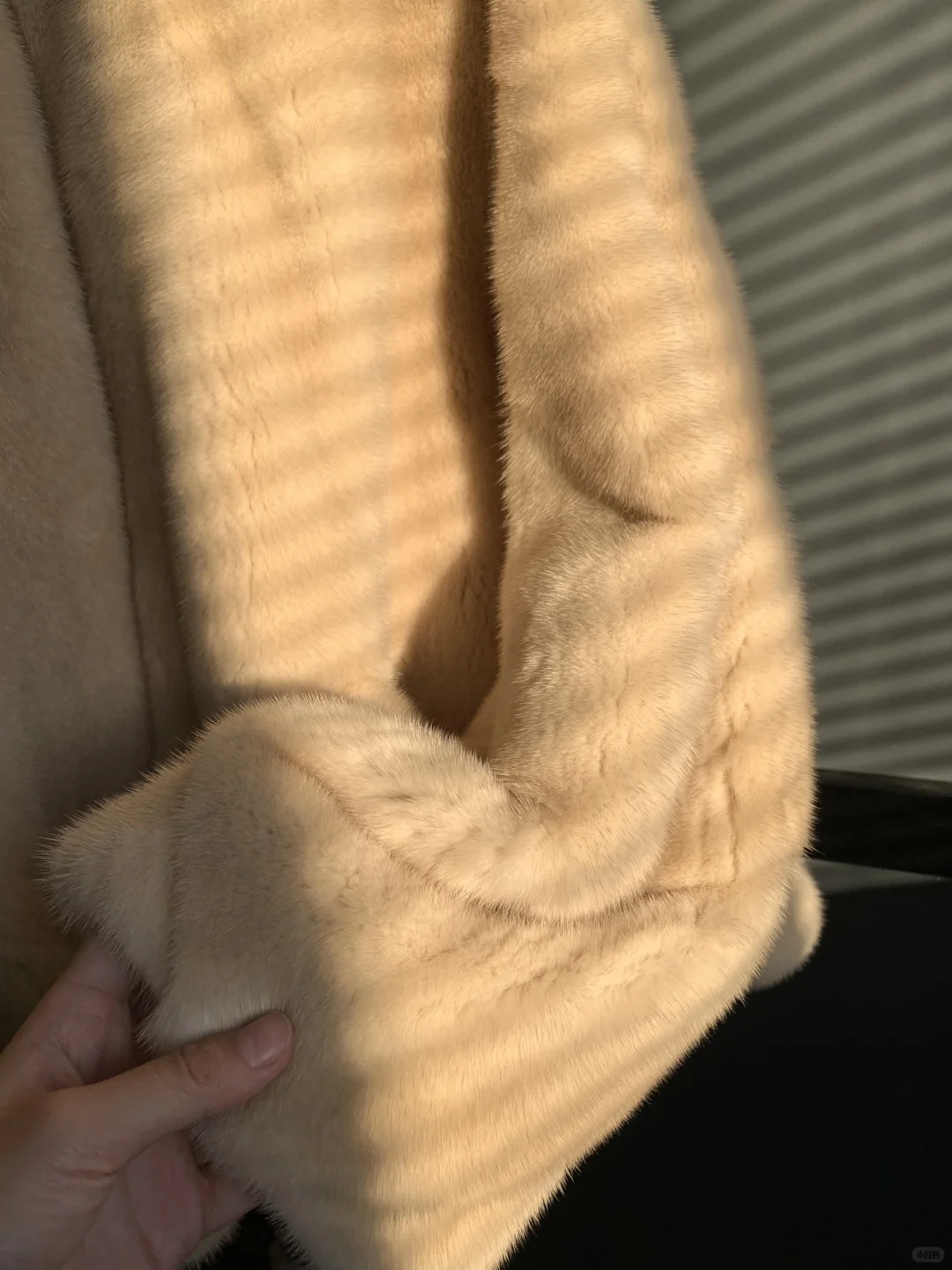 30年梦寐以求的珍宝貂 终于做出来了