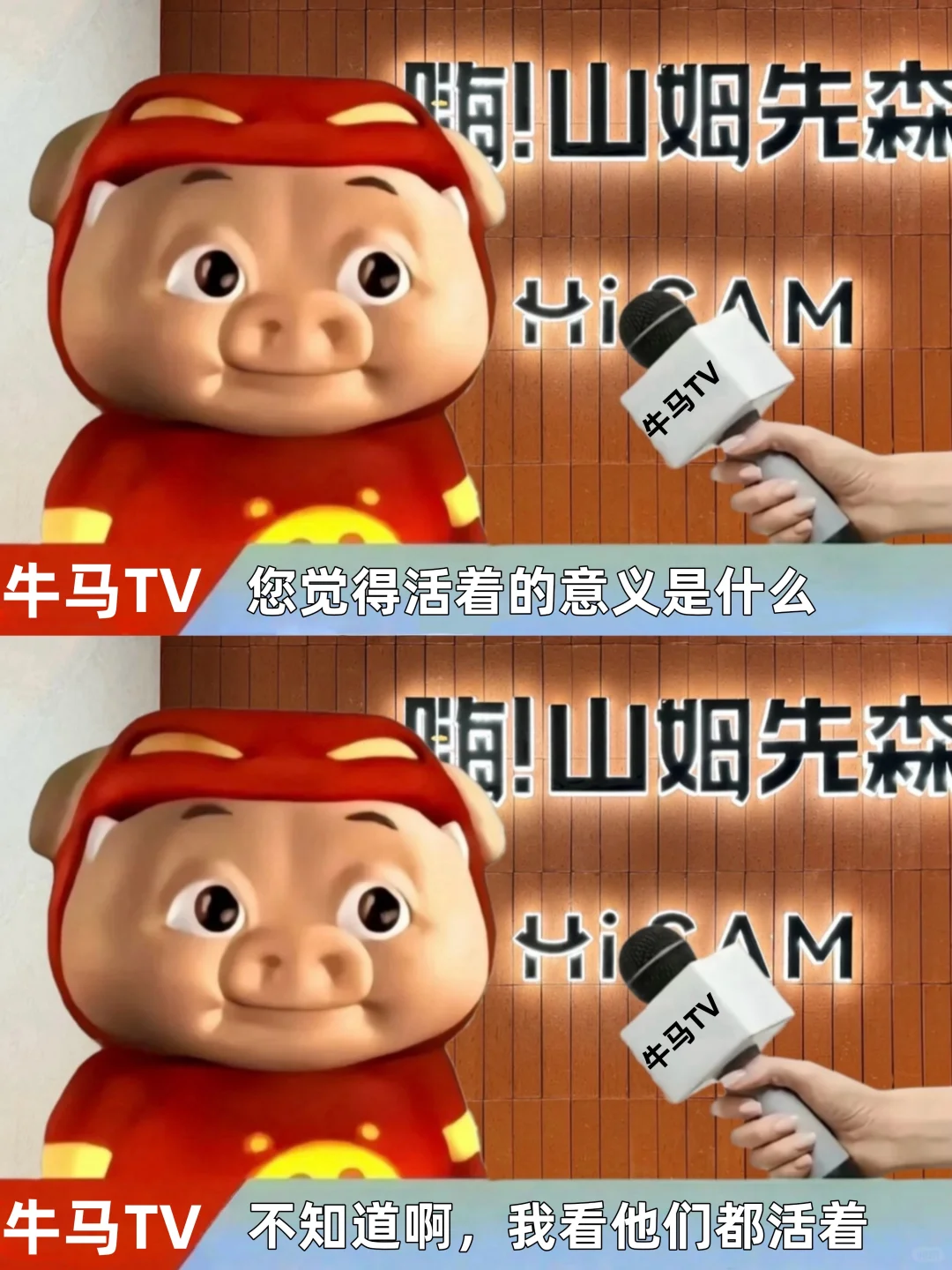 男神猪猪侠的清醒发言🧱