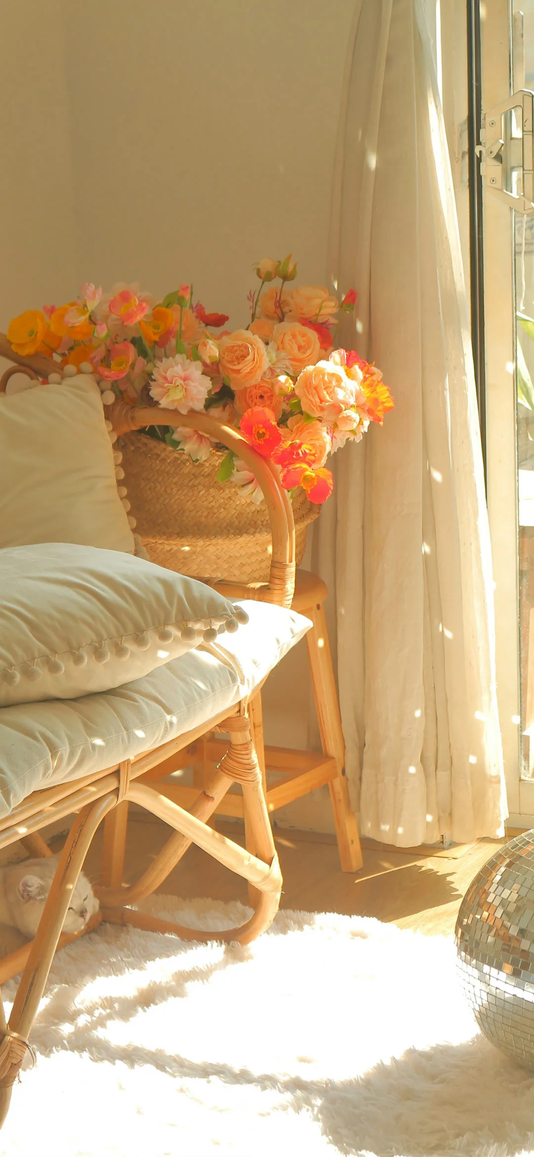 一组及其小众的壁纸