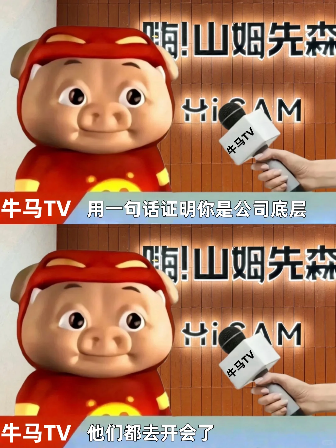 男神猪猪侠的清醒发言🧱