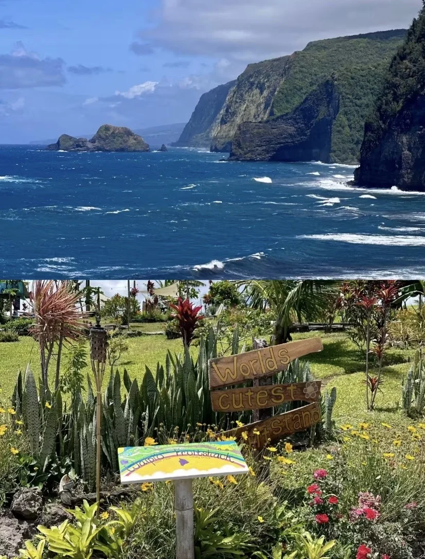 泳衣是给水灵灵的女生穿的吧