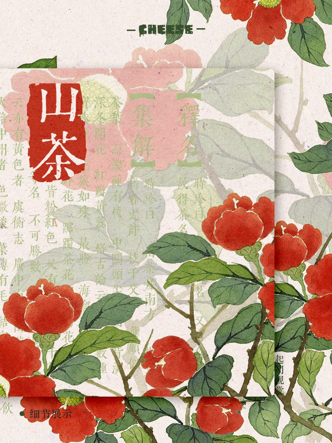 绝美花卉壁纸，清雅又高级！|古风手机壁纸