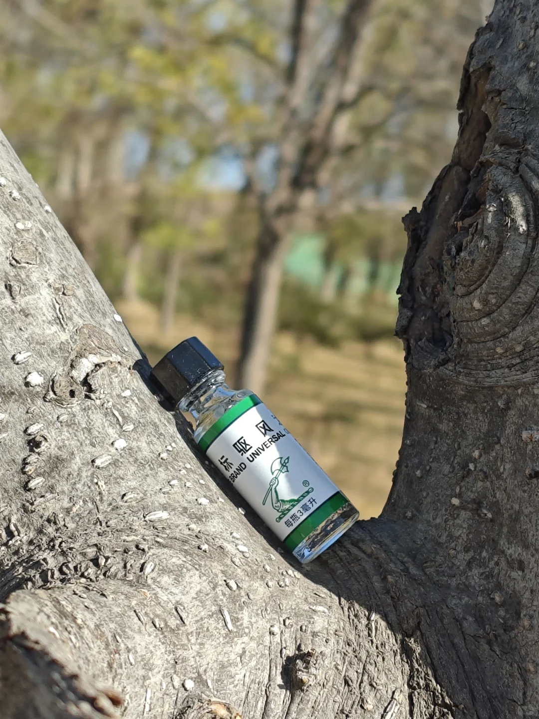 游动物园，别人家是小天使，我家叛逆奥特曼