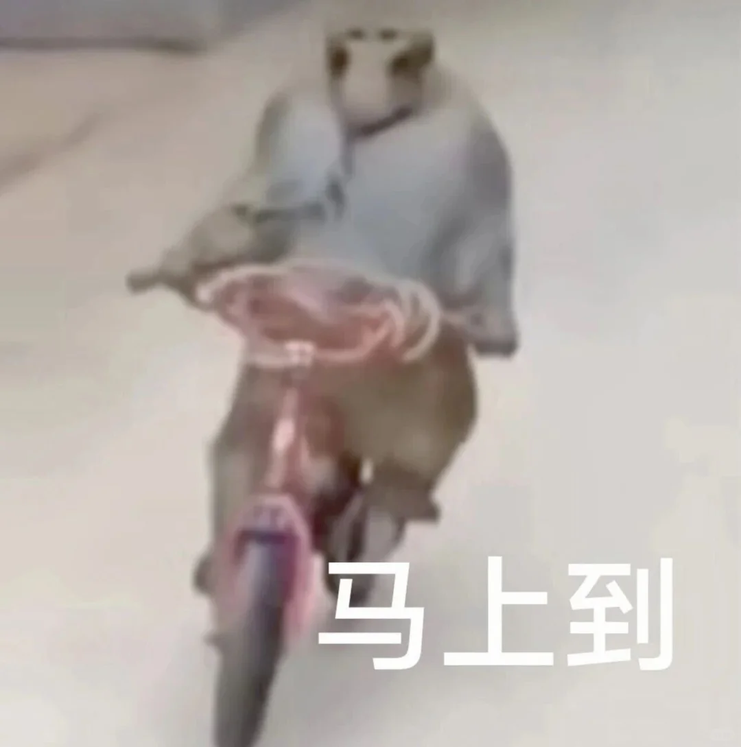 审美积累小众表情包第二弹✌️