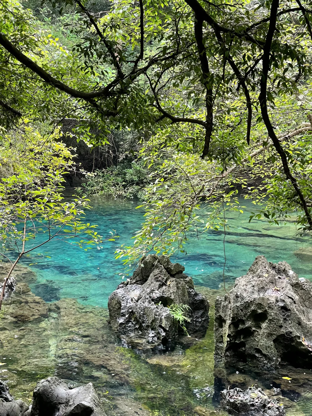 喜欢姐没错的 会显得你很有审美