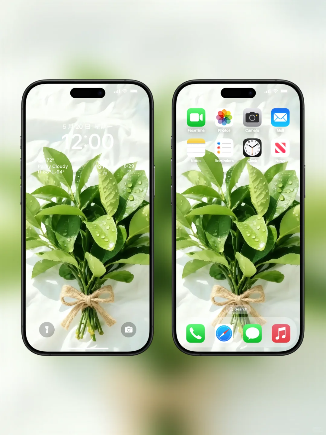 柚子叶｜手机壁纸138