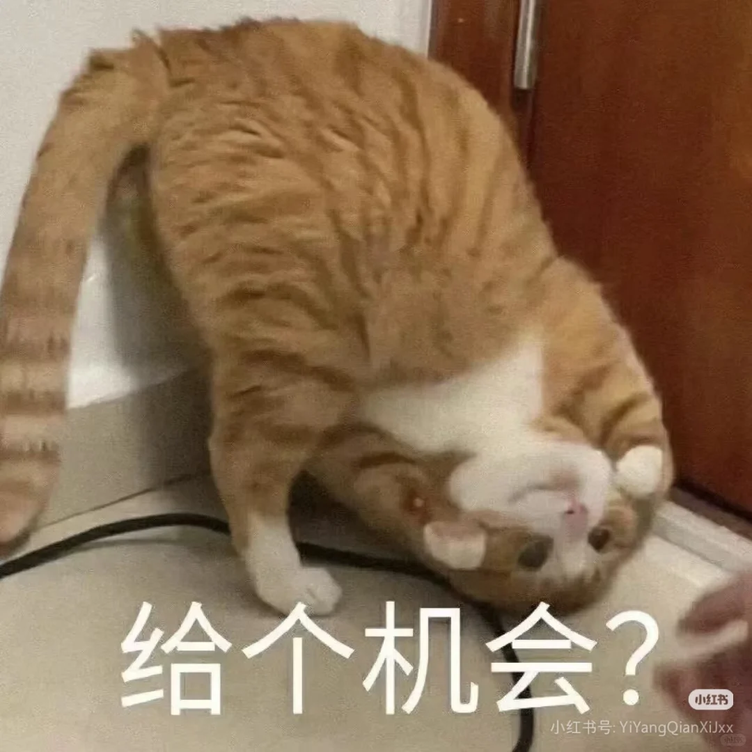 最上头的表情包！