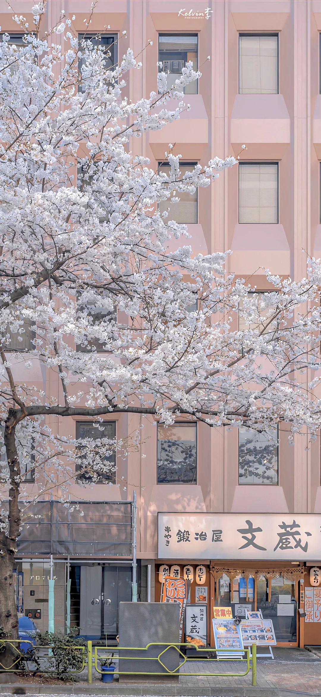 一期冬日壁纸分享 ʚ🤍ɞ⑅.°🪽