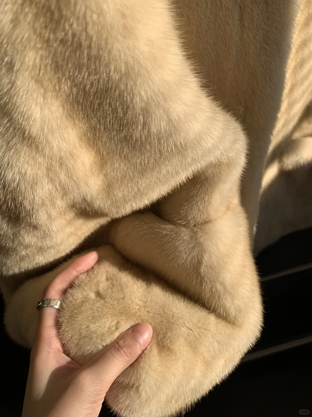 30年梦寐以求的珍宝貂 终于做出来了