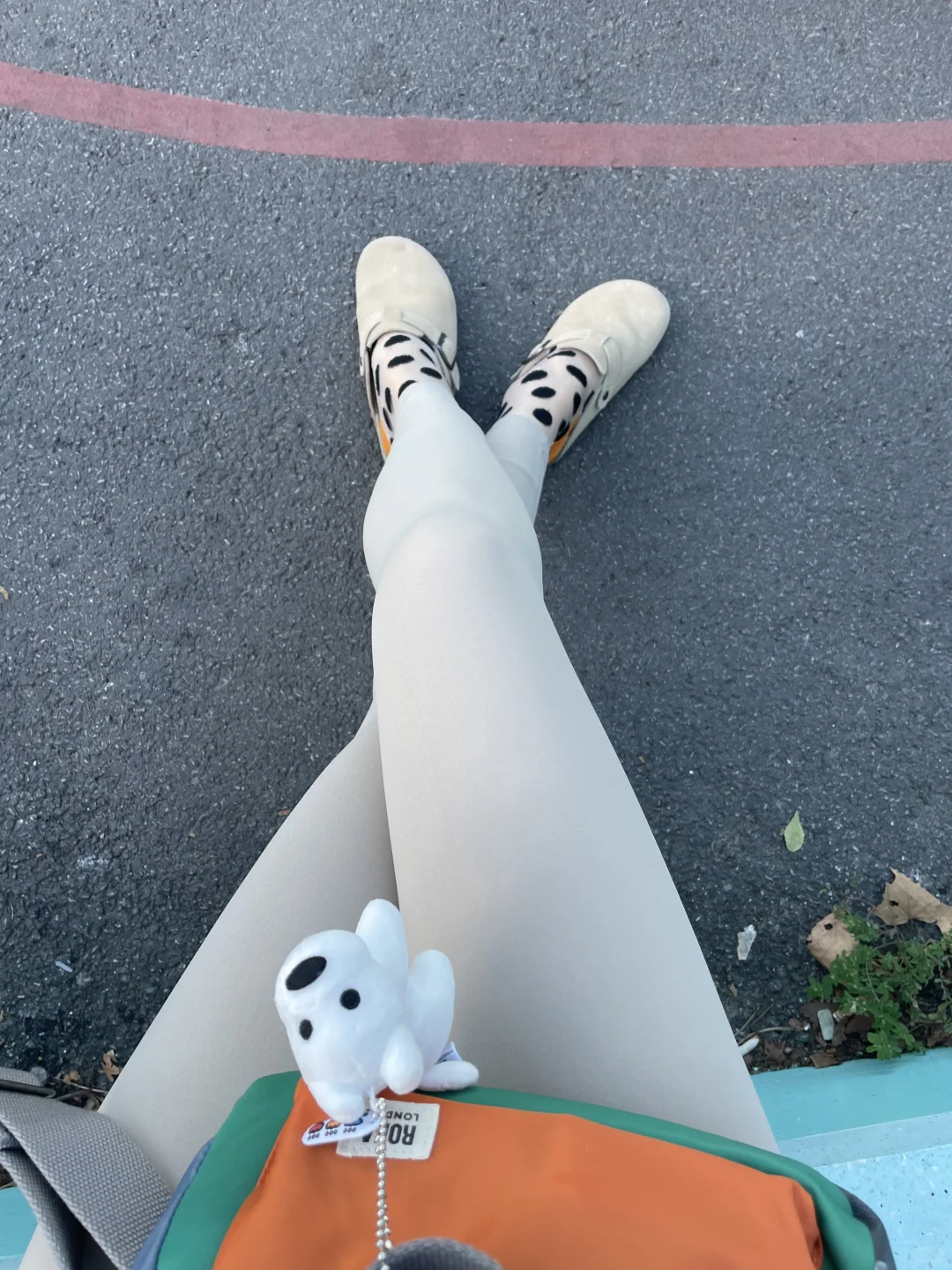 🐶可爱小狗🐶