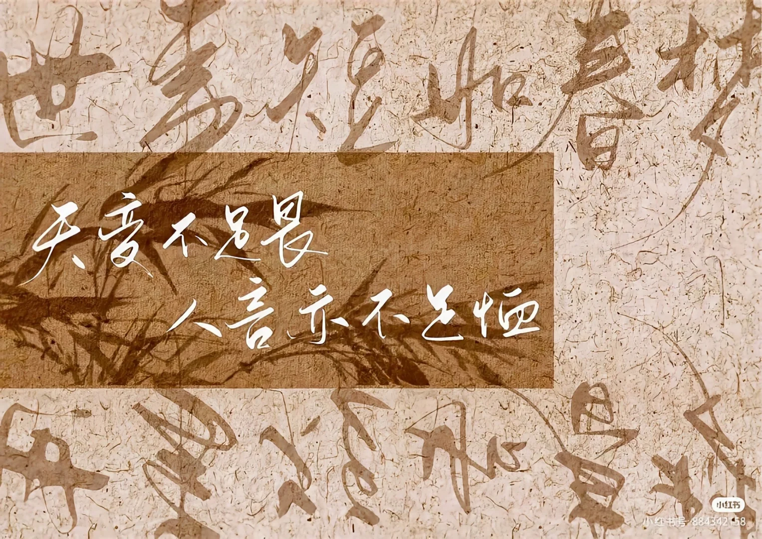 电脑ipad壁纸丨且将新火试新茶