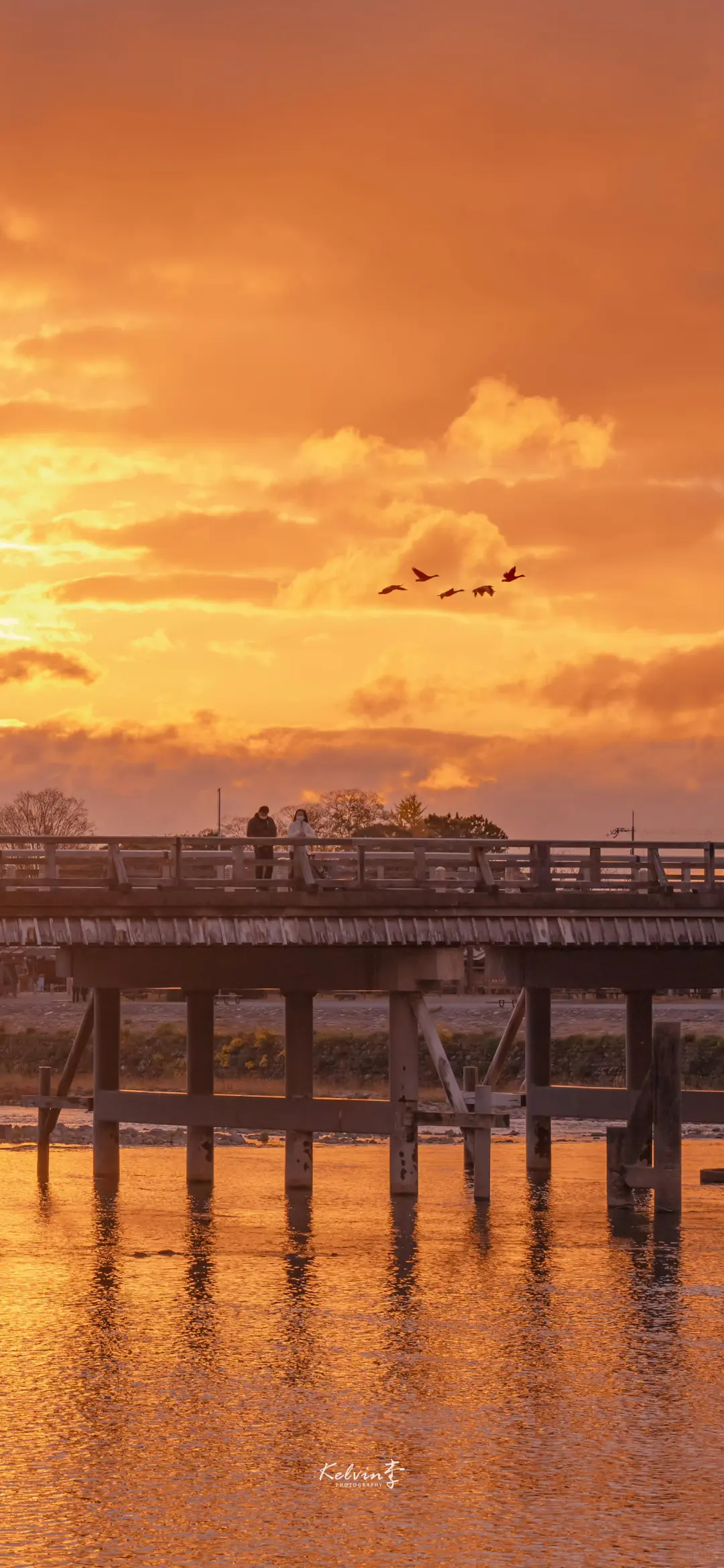 ✨高清壁纸｜背景图 琥珀鎏金